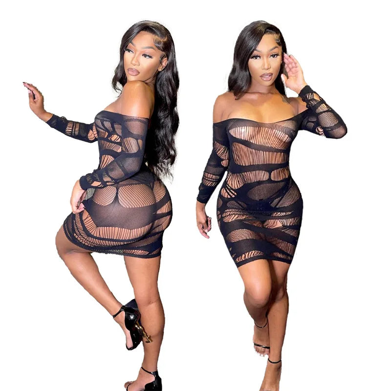 Women's Plus Size See-through Temptation Sexy Underwear Net Lingerie White Fishnet Bodystocking Beachwear Outdress