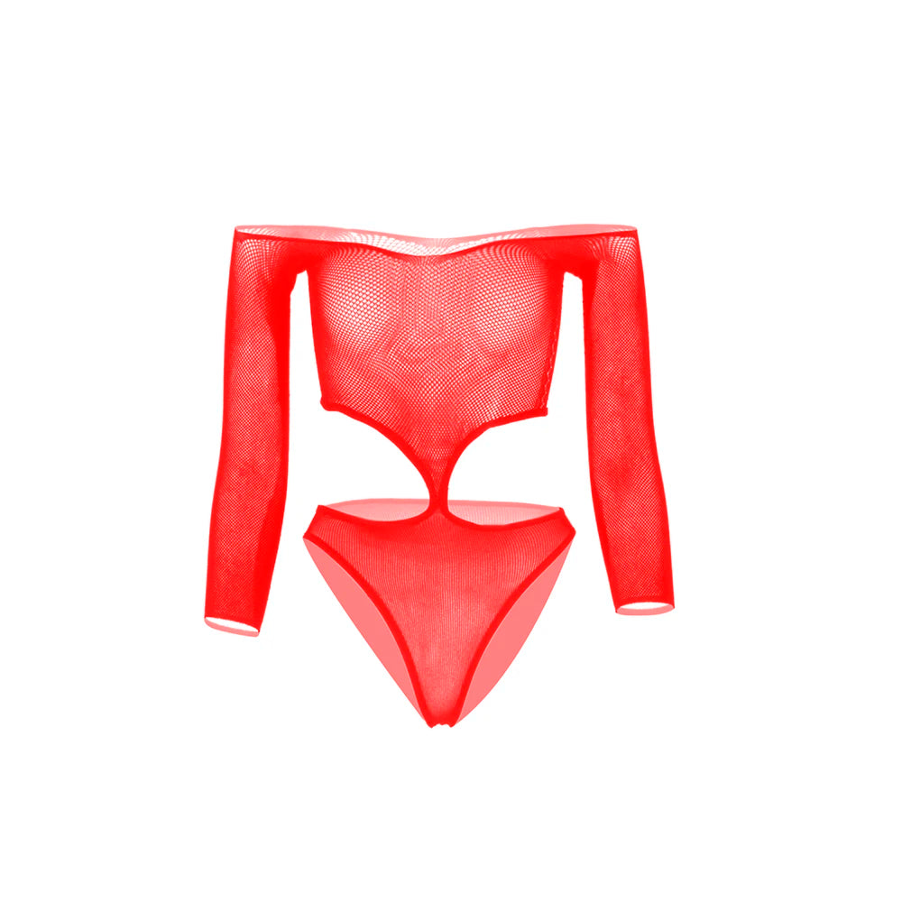 Full Sleeve Fishnet Stockings Bra&Brief Sexy Sheer Lingerie for Women Beach Bodysuit Seamless Chemise Tights